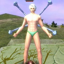 ꡼ No.004Υͥ / SANGOKU CHAOS 񥫥פΥɦ¥ƥ罸ȡ1000̾ʬ4GamerɼȤ