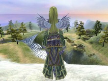 ���������꡼ No.016�Υ���ͥ������ / ����֤ΡȽ�̿���з�ɤ˻��路�褦��MMORPG��SANGOKU CHAOS �����񥫥������ס������ץ�¥ƥ��ȳ�������10��8���˷���