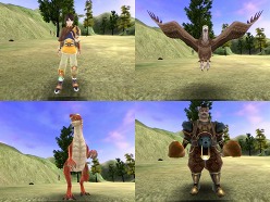 ꡼ No.005 | ֻ񥫥ץ쥤䡼PvP򥪥ˡȽðо