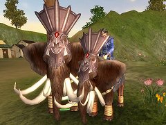 ꡼ No.005 | ֻ񥫥סʡޤ館뿷Ͽڡ