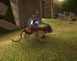 ꡼ No.005 | ï֡SANGOKU CHAOS3𾭿͵ɼ