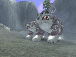 ꡼ No.004 | SANGOKU CHAOSץƥ⡼빹緿ΡȾ赳ڥåȡɤɲ