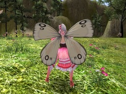 ꡼ No.010 | SANGOKU CHAOSפɥ٥㡼ˡ ƥ