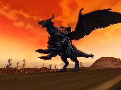 ꡼ No.004 | SANGOKU CHAOSץƥ⡼2Ρȿʼɤо