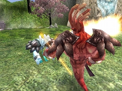 ꡼ No.005 | SANGOKU CHAOSץƥ⡼2Ρȿʼɤо