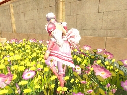 ꡼ No.004 | SANGOKU CHAOSסֲǲ̻οФ륢Хʡޤ