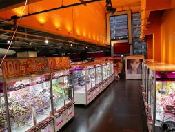 ������#007�Υ���ͥ���/�����Υ��ߥ塼�����Ȼ��ߤ�ʼ�˸����ͤ�2Ź�ޥ����ץ�