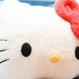 ꡼ No.035 | 55ץ饤եץեȥݡȡʤ1ˡϥƥब¤/ե塼/ƥॵӥ֡Ҳ