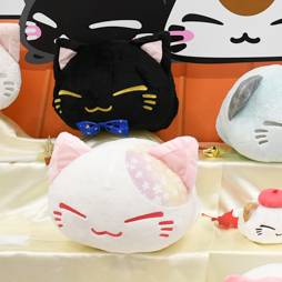 ꡼ No.057 | 55ץ饤եץեȥݡȡʤ1ˡϥƥब¤/ե塼/ƥॵӥ֡Ҳ