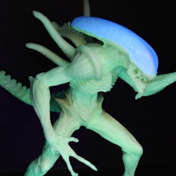 ꡼ No.138 | ե塼ο֥ɡﲦɤʤɡ˭ʥå·ä57ץ饤եץեȥݡȡʤ1ˡ/ե塼/ƥॵӥ