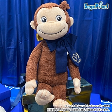 ꡼ No.024 | ֥ɥ饯 פΡȥɤΤ̤ߤʤɡץ饤ൡ2020ǯ122021ǯ3о줹뿷ʤȯɽ