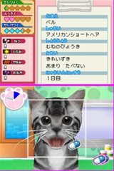 ꡼ No.003 | ưʪΤԤˤʤ꤭äƥڥåȤä伣ŤʤɤǤ֤˥ɤ֤±1028ȯ