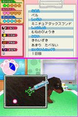 ꡼ No.004 | ưʪΤԤˤʤ꤭äƥڥåȤä伣ŤʤɤǤ֤˥ɤ֤±1028ȯ