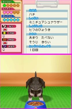 ꡼ No.005 | ưʪΤԤˤʤ꤭äƥڥåȤä伣ŤʤɤǤ֤˥ɤ֤±1028ȯ