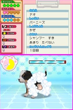 ꡼ No.006 | ưʪΤԤˤʤ꤭äƥڥåȤä伣ŤʤɤǤ֤˥ɤ֤±1028ȯ