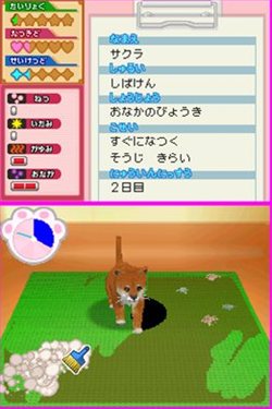 ꡼ No.008 | ưʪΤԤˤʤ꤭äƥڥåȤä伣ŤʤɤǤ֤˥ɤ֤±1028ȯ