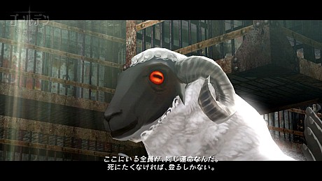 ���������꡼ No.012�Υ���ͥ������ / �֥��㥵���ס����������ŵ�ϡȥ��㥵��󥵥���ɡɤ�����äȵͤޤä�����ȥ�˷���