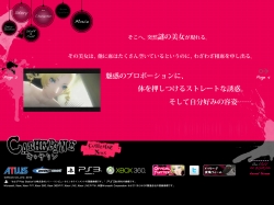 ���������꡼ No.002�Υ���ͥ������ / �֥��㥵���׸��������Ȥǡȥ����󥻥�ȡɡȥ��㥵���ɤ�����İ����