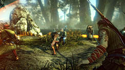 ꡼ No.004 | CD ProjektThe Witcher 2: Assassins of Kingsפ2011ǯ517ȯ䡣130ɥΥ쥯ǥ¸ߤ餫
