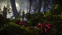 ꡼ No.007 | GamescomϤ줬Ωϥҥåȥ᡼Ϥ CD ProjektThe Witcher 2פ緿̵åץǡȤ򳤳929˥꡼