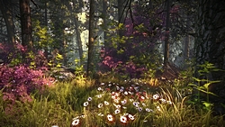 ꡼ No.013 | GamescomϤ줬Ωϥҥåȥ᡼Ϥ CD ProjektThe Witcher 2פ緿̵åץǡȤ򳤳929˥꡼