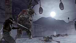 ���������꡼ No.004�Υ���ͥ������ / ��Dragon Age II�פκǿ��ࡼ�ӡ�����������͸��Ȥʤ���̱�ۡ������襤�˿Ȥ��ꤸ�Ƥ����ͻҤ�����������ȤǼ�Ͽ