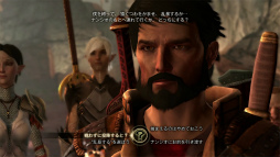 ꡼ No.004 | Dragon Age IIפθϡֲáפ⡣ץ쥤䡼ˤäѲƤ͸ʤãο𡤤Ԥޥ 