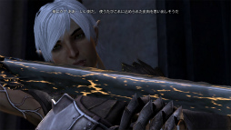 ꡼ No.011 | Dragon Age IIפθϡֲáפ⡣ץ쥤䡼ˤäѲƤ͸ʤãο𡤤Ԥޥ 