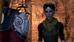 ꡼ No.013 | Dragon Age IIפθϡֲáפ⡣ץ쥤䡼ˤäѲƤ͸ʤãο𡤤Ԥޥ 