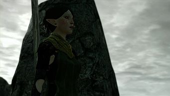 ꡼ No.001 | Dragon Age II֤β餫ˤʤ륷硼ȥȡ꡼2Ƥ