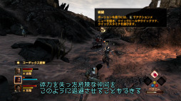 ꡼ No.007 | Dragon Age IIסΥե̥λե󥿥RPG̥Ϥץ쥤ࡼӡǸ