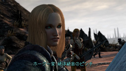 ꡼ No.010 | Dragon Age IIסΥե̥λե󥿥RPG̥Ϥץ쥤ࡼӡǸ