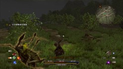 画像ギャラリー No.015のサムネイル画像 / 「アルカニア ゴシック4」の楽しみ方を紹介。西欧ファンタジー世界を舞台に,戦いだけではない自由な暮らしを満喫するのだ