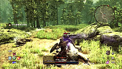 ꡼ No.019 | 324ȯ䤵ܳʥ󥰥RPG֥륫˥ å4סȥ֥ȡɤȡȥɤ̥Ϥ˥ä