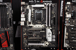 ꡼ No.006 | òMSIZ170ץåץåܥޥܡɤϪħ餫