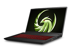 画像ギャラリー No.001のサムネイル画像 / MSI,Ryzen+Radeon搭載のゲーマー向けノートPC「Bravo」を国内発売。17.3インチと15.6インチの2製品を用意