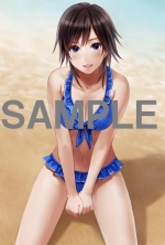 ���������꡼ No.002�Υ���ͥ������ / �֤Ĥ���Τ������Ź����ͽ����ŵ�˻��Ѥ����ȥ��顼���饹�ȡɤ�����