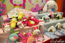 ꡼ No.339 | ͵饯뤷22ץ饤ե 2011 SPRINGס2011ǯκǿץ饤ޤ뤴ȥåǤ롤եȥݡ