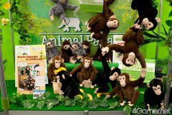 ꡼ No.394 | ͵饯뤷22ץ饤ե 2011 SPRINGס2011ǯκǿץ饤ޤ뤴ȥåǤ롤եȥݡ