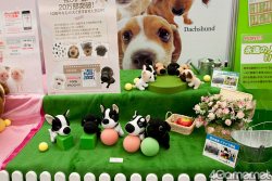 ꡼ No.396 | ͵饯뤷22ץ饤ե 2011 SPRINGס2011ǯκǿץ饤ޤ뤴ȥåǤ롤եȥݡ