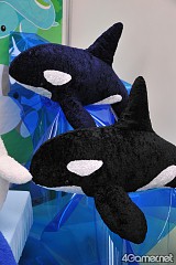 ꡼ No.272 | ֤ޤɤפ֤ץե奢·26ץ饤ե 2012 SPRINGץեȥݡ