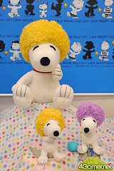 ꡼ No.313 | ֤ޤɤפ֤ץե奢·26ץ饤ե 2012 SPRINGץեȥݡ