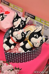 ꡼ No.407 | ֤ޤɤפ֤ץե奢·26ץ饤ե 2012 SPRINGץեȥݡ