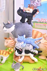 ꡼ No.410 | ֤ޤɤפ֤ץե奢·26ץ饤ե 2012 SPRINGץեȥݡ