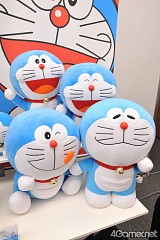 ꡼ No.509 | ֤ޤɤפ֤ץե奢·26ץ饤ե 2012 SPRINGץեȥݡ