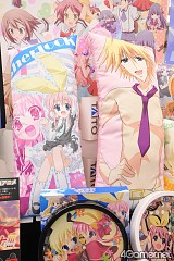 ꡼ No.540 | ֤ޤɤפ֤ץե奢·26ץ饤ե 2012 SPRINGץեȥݡ