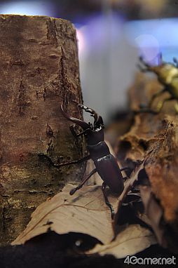 ꡼ No.471 | ǿ˥ᤫåޤޤǡե奢䥰å¤27ץ饤եץեȥݡ