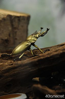 ꡼ No.472 | ǿ˥ᤫåޤޤǡե奢䥰å¤27ץ饤եץեȥݡ