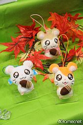 ꡼ No.562 | ǿ˥ᤫåޤޤǡե奢䥰å¤27ץ饤եץեȥݡ