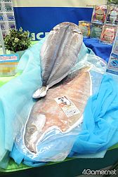 ꡼ No.793 | ǿ˥ᤫåޤޤǡե奢䥰å¤27ץ饤եץեȥݡ